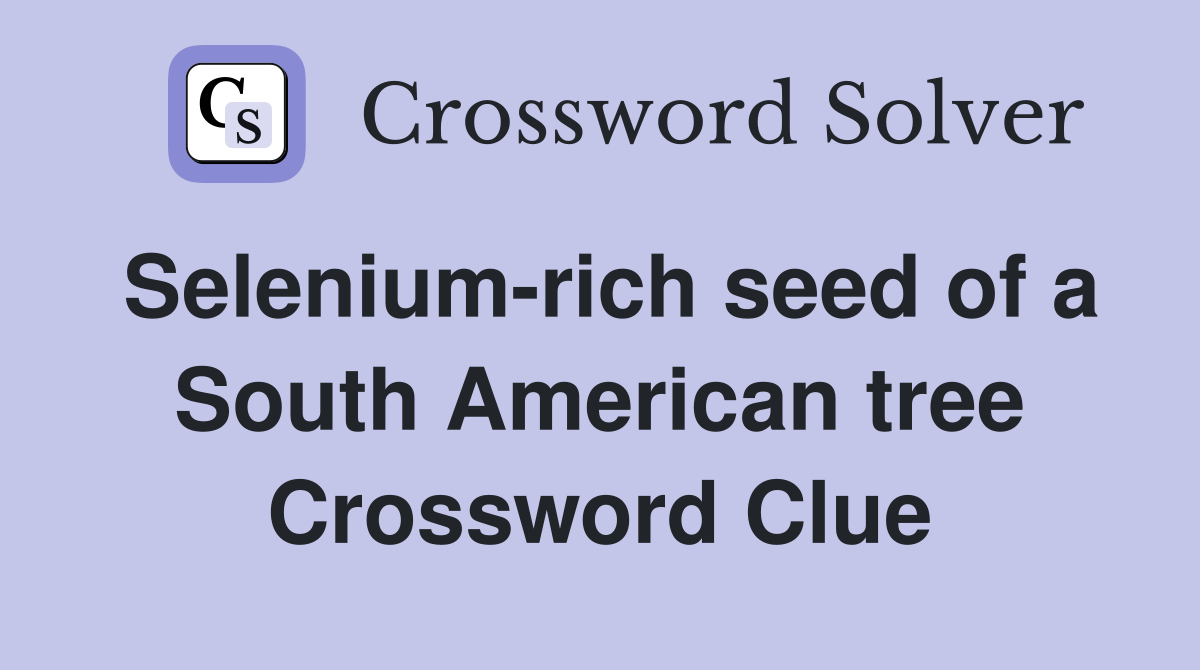 Selenium-rich seed of a South American tree Crossword Clue