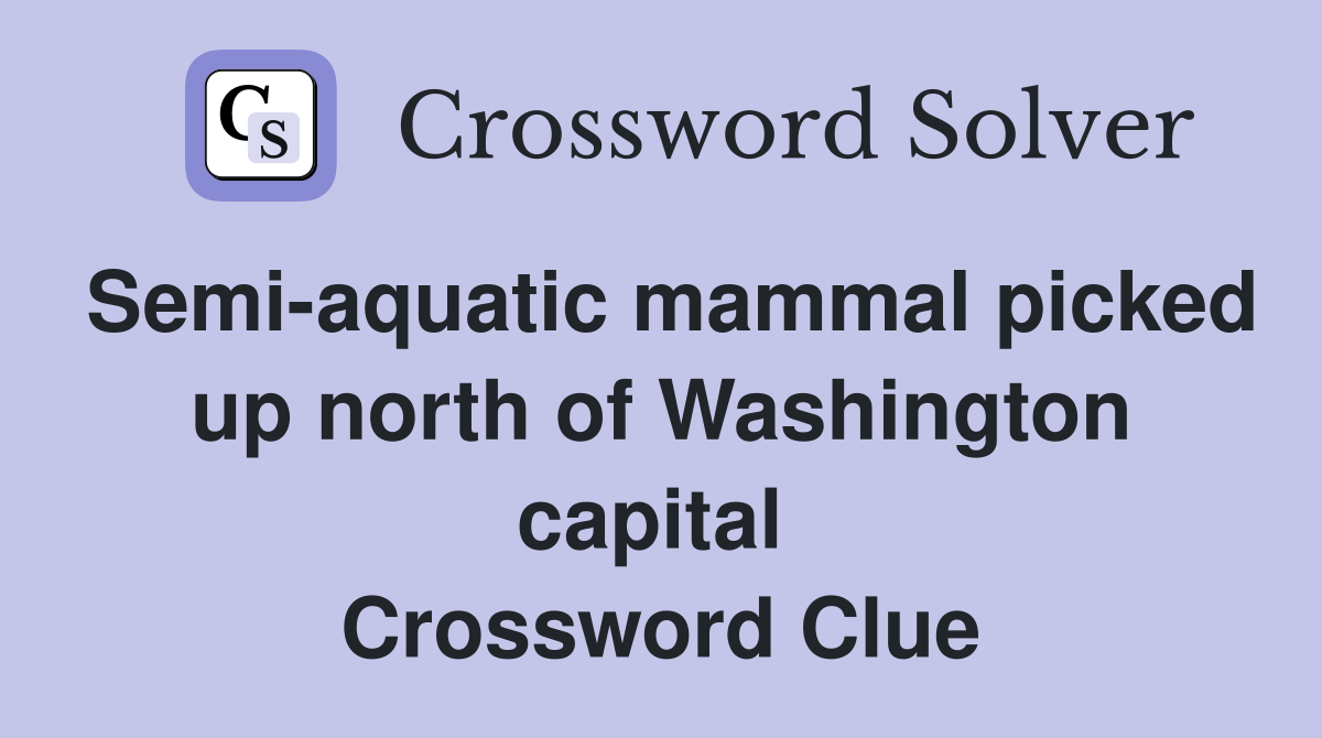 Semi-aquatic mammal picked up north of Washington capital  Crossword Clue