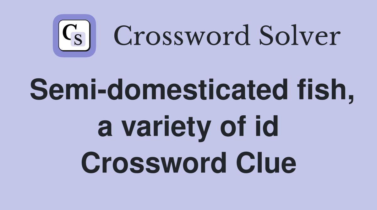 Semi-domesticated fish, a variety of id Crossword Clue