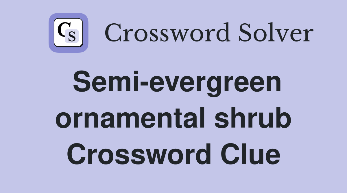 Semi-evergreen ornamental shrub Crossword Clue