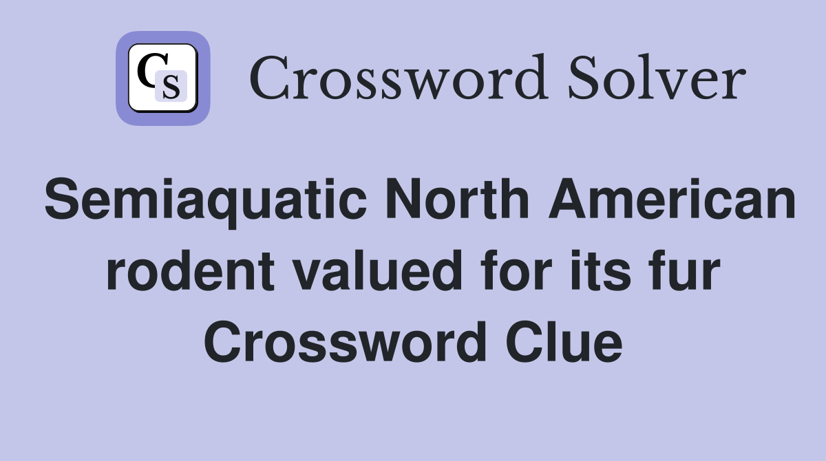 Semiaquatic North American rodent valued for its fur Crossword Clue