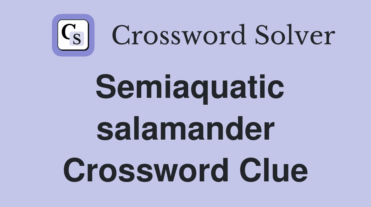 Semiaquatic salamander Crossword Clue