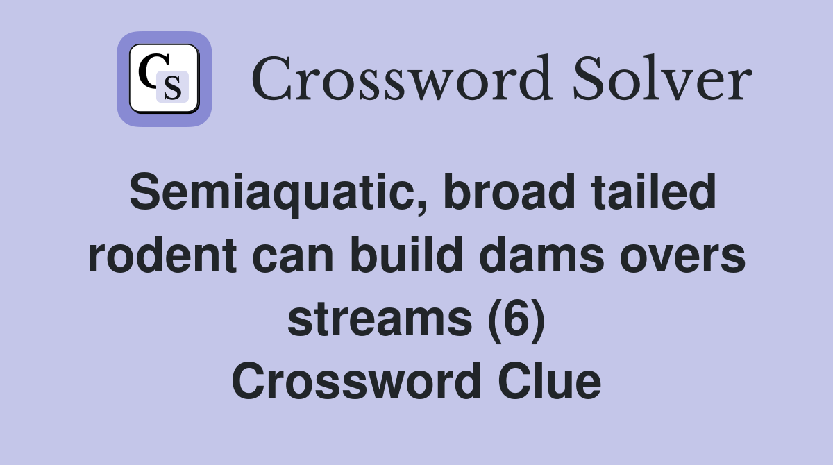 Semiaquatic, broad tailed rodent can build dams overs streams (6) Crossword Clue