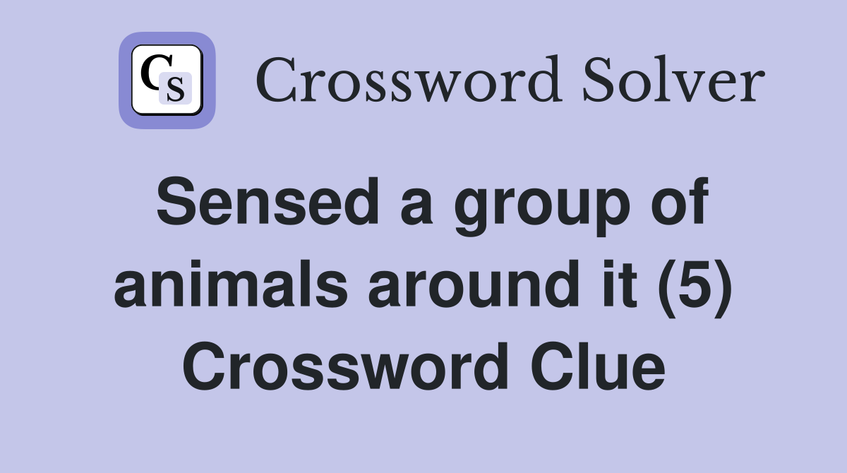 Sensed a group of animals around it (5) Crossword Clue