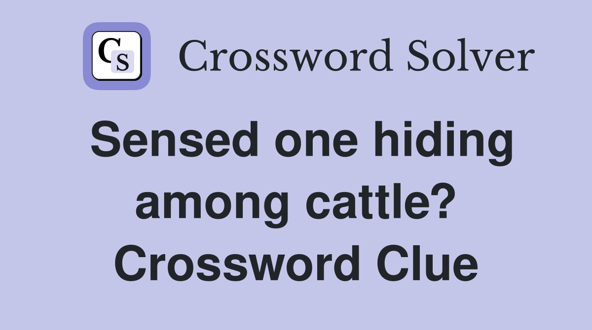 Sensed one hiding among cattle? Crossword Clue