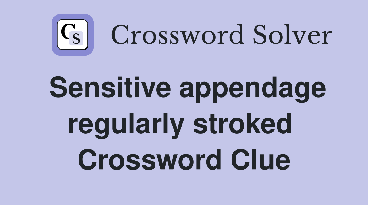 Sensitive appendage regularly stroked  Crossword Clue