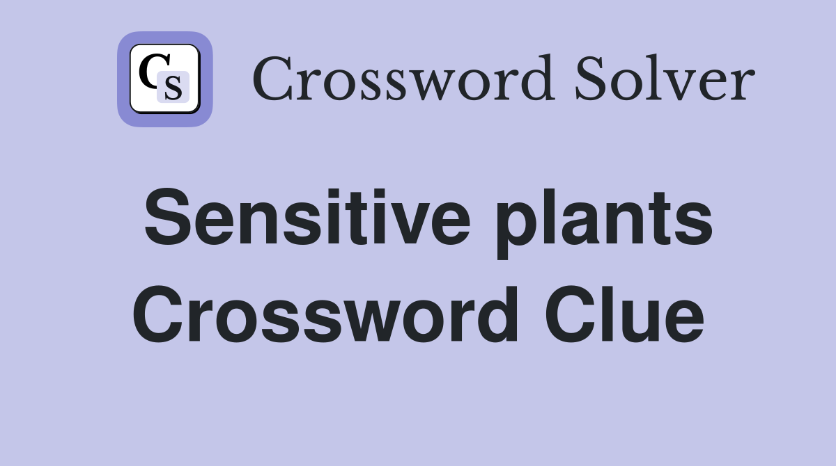 Sensitive plants Crossword Clue