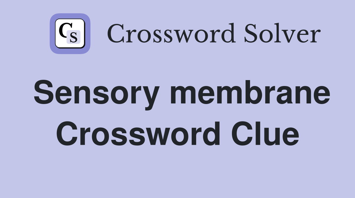 Sensory membrane Crossword Clue