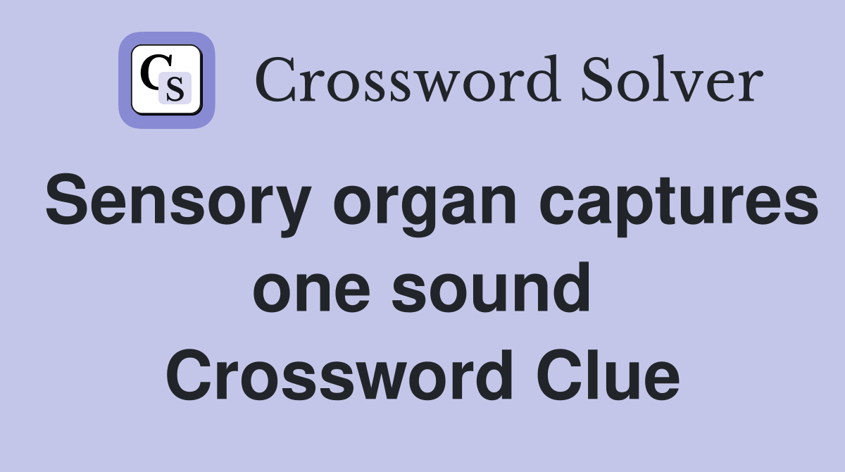 Sensory organ captures one sound Crossword Clue