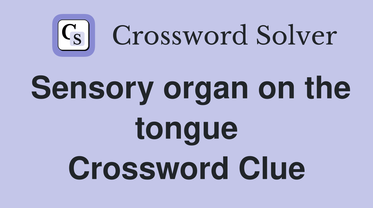 Sensory organ on the tongue Crossword Clue
