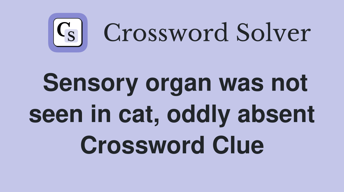 Sensory organ was not seen in cat, oddly absent Crossword Clue