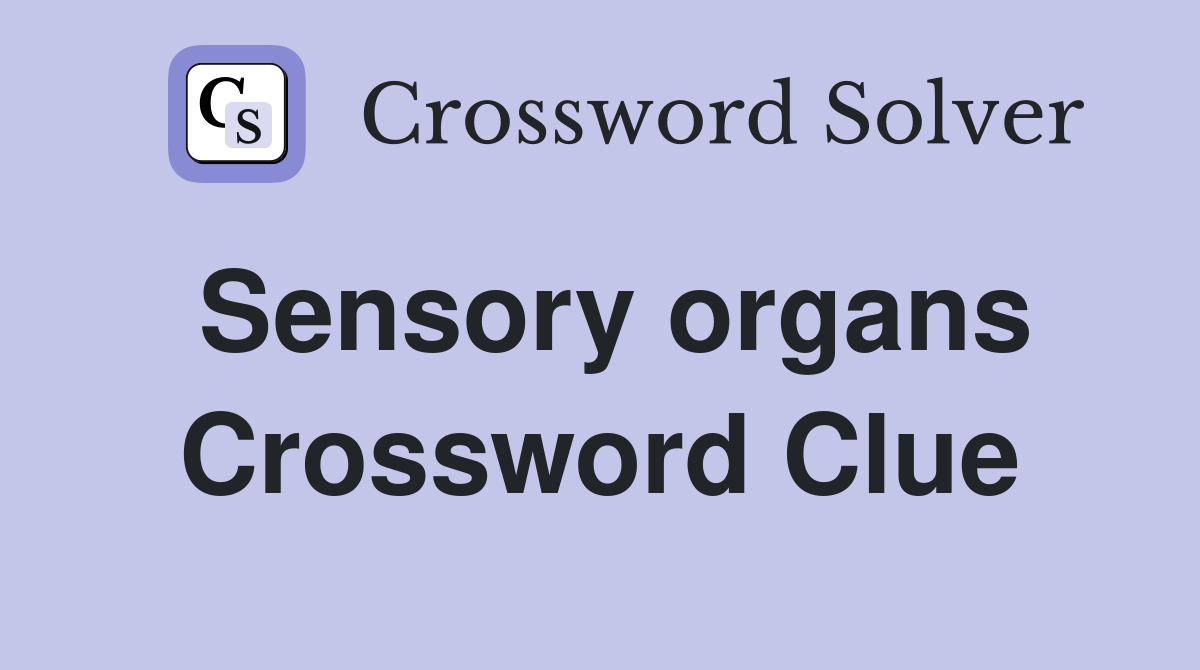 Sensory organs Crossword Clue
