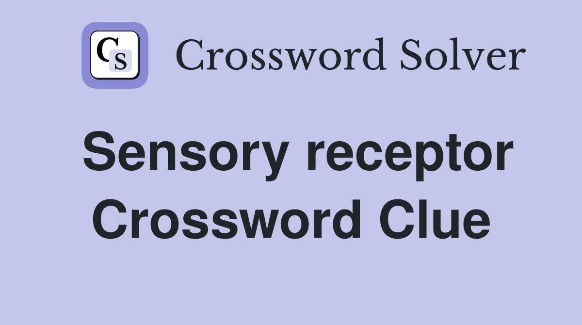 Sensory receptor Crossword Clue