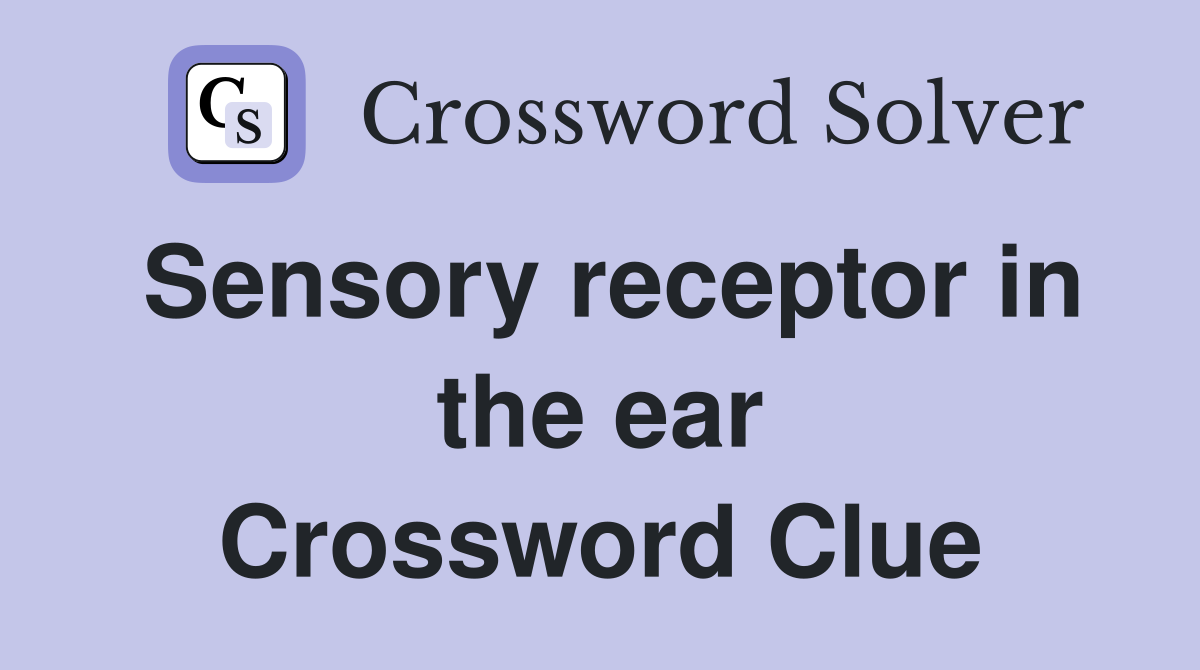 Sensory receptor in the ear Crossword Clue