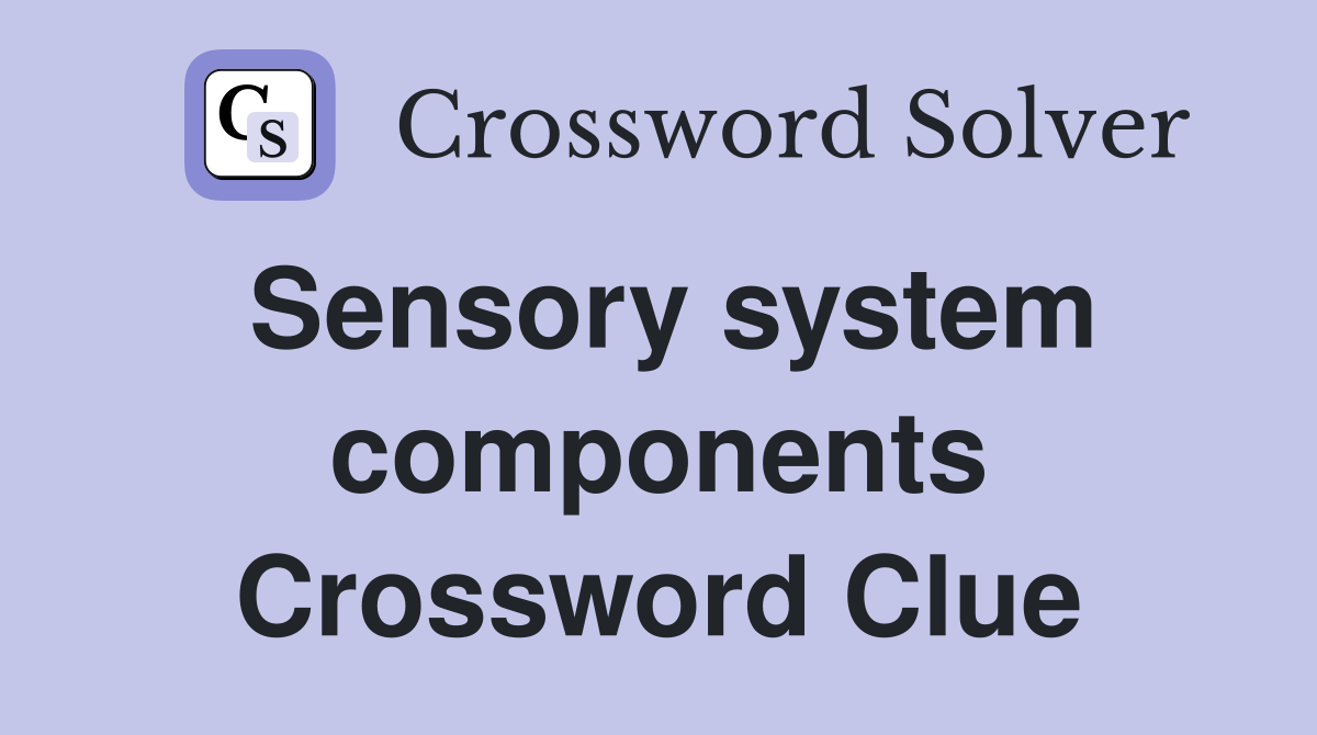 Sensory system components Crossword Clue