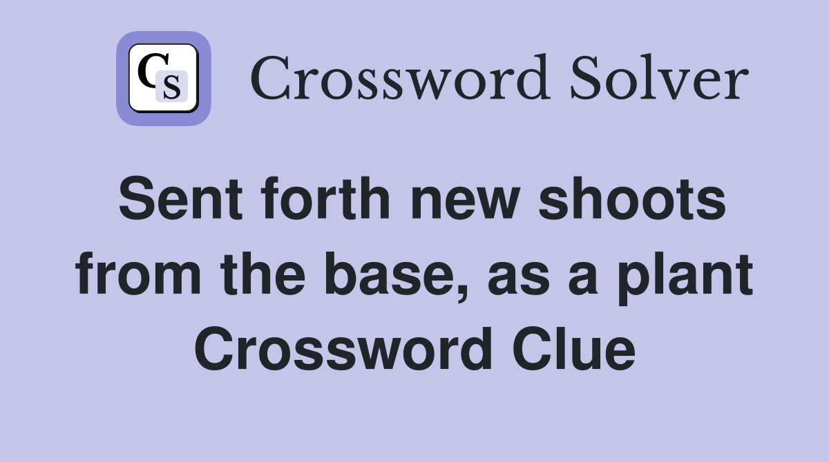 Sent forth new shoots from the base, as a plant Crossword Clue