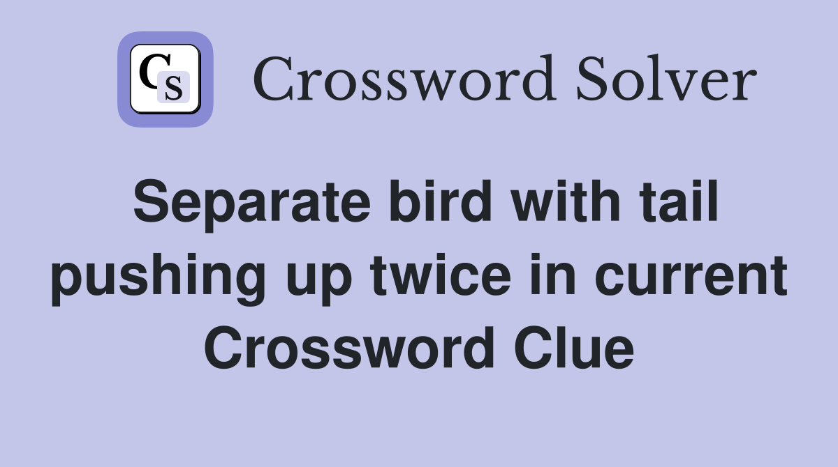 Separate bird with tail pushing up twice in current Crossword Clue