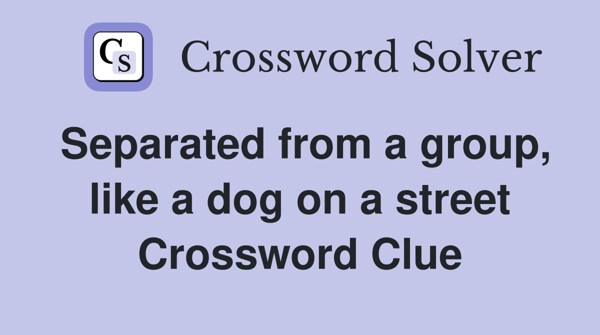 Separated from a group, like a dog on a street Crossword Clue