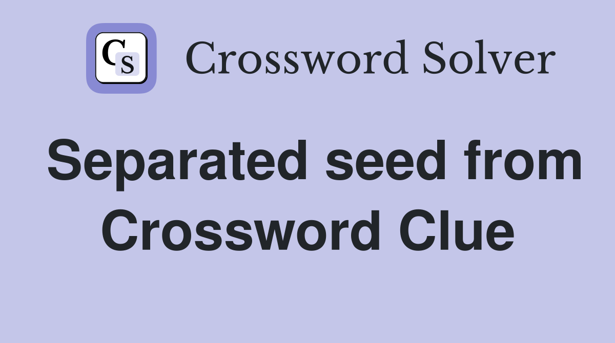 Separated seed from Crossword Clue