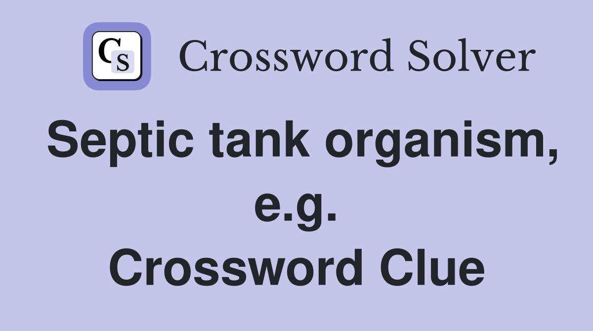 Septic tank organism, e.g. Crossword Clue