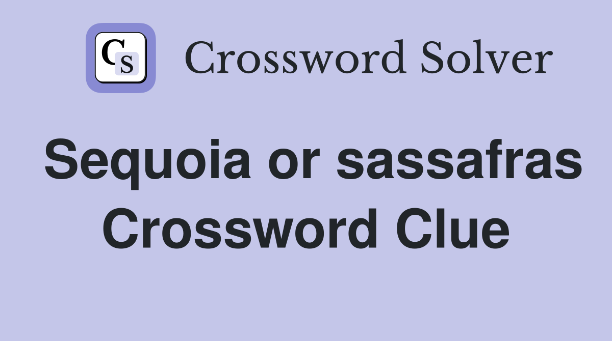 Sequoia or sassafras Crossword Clue