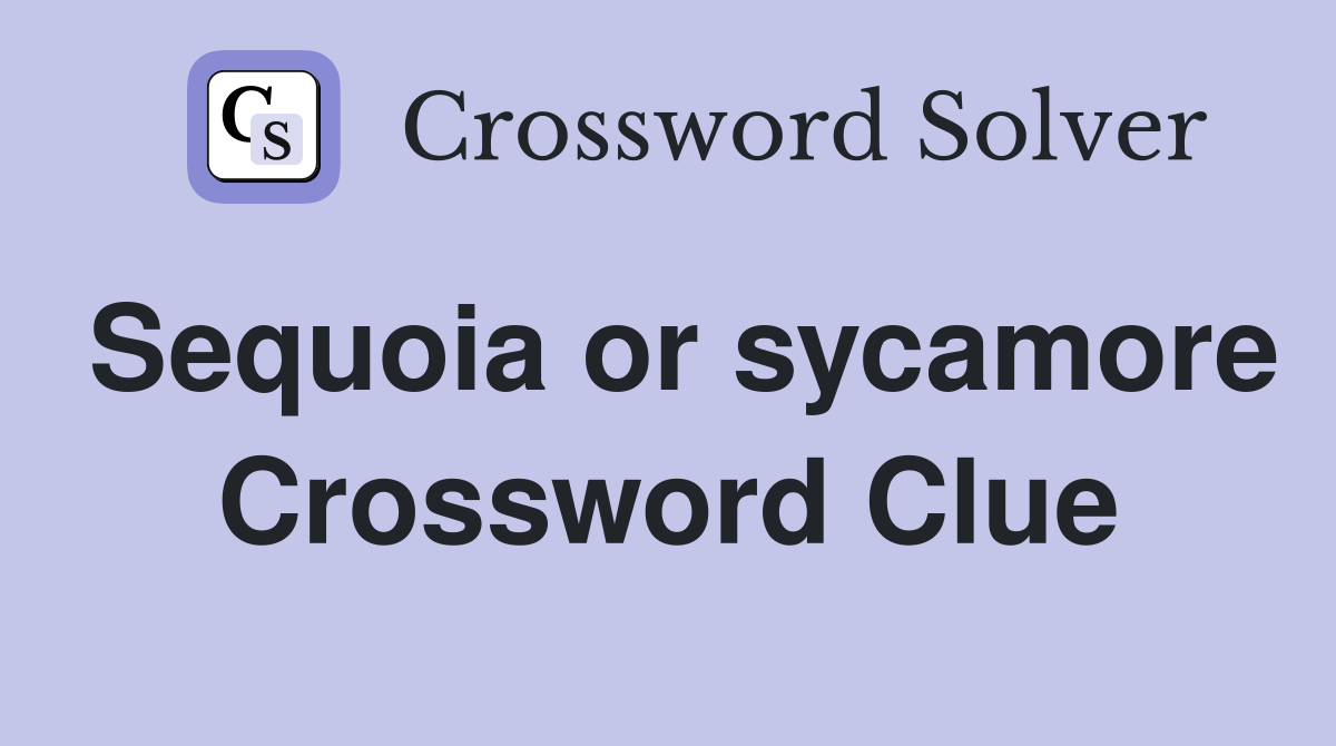Sequoia or sycamore Crossword Clue