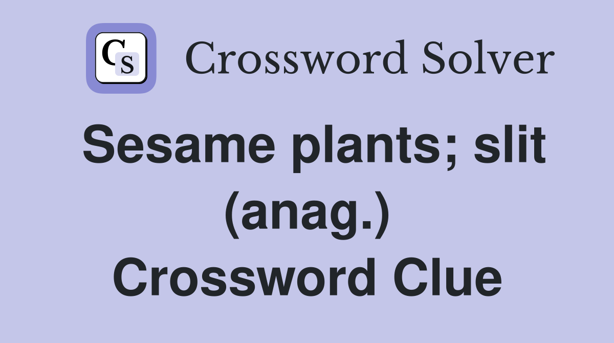 Sesame plants; slit (anag.) Crossword Clue