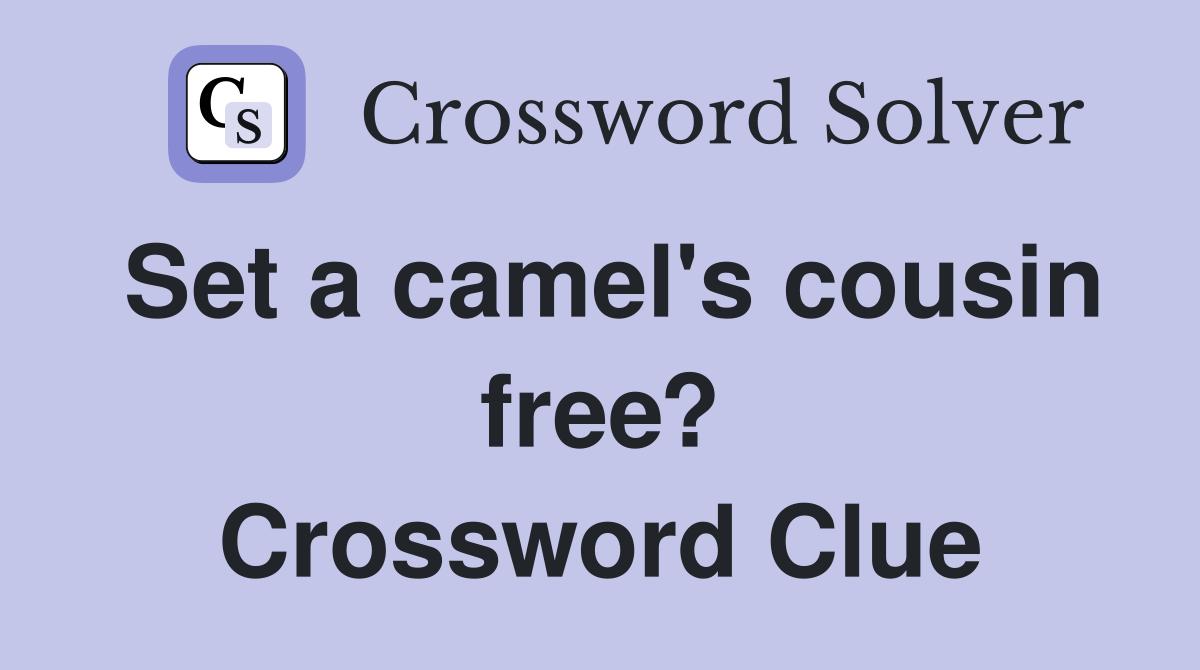 Set a camel's cousin free? Crossword Clue
