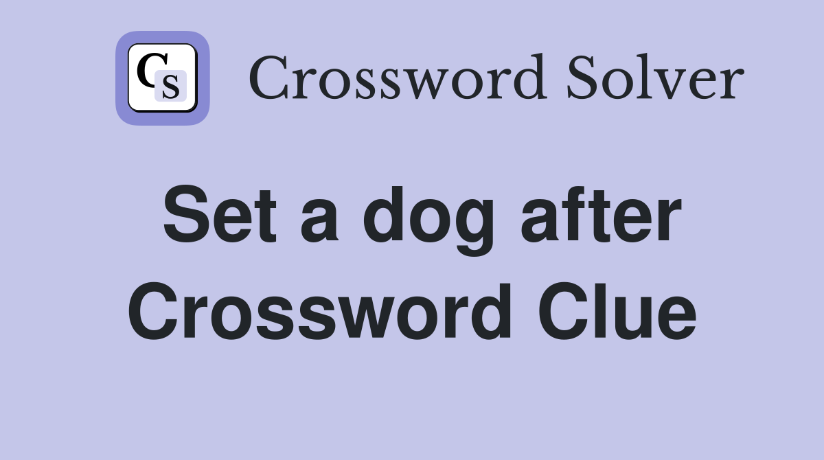 Set a dog after Crossword Clue