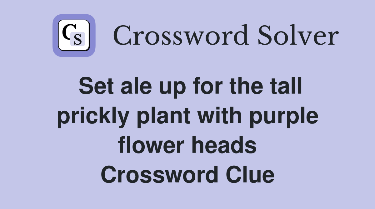 Set ale up for the tall prickly plant with purple flower heads Crossword Clue