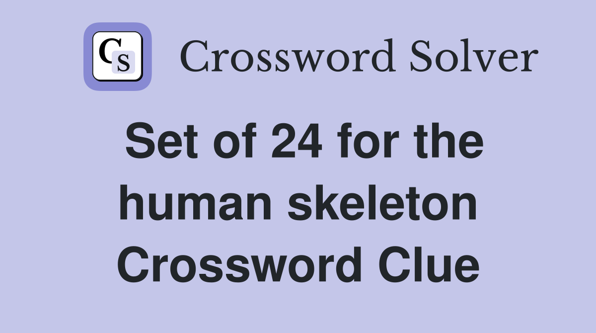 Set of 24 for the human skeleton Crossword Clue
