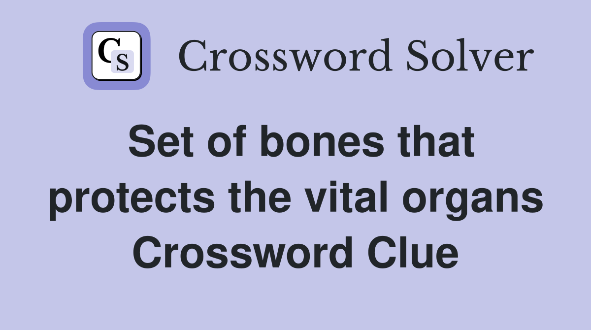 Set of bones that protects the vital organs Crossword Clue