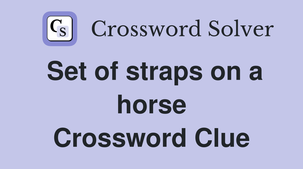 Set of straps on a horse Crossword Clue