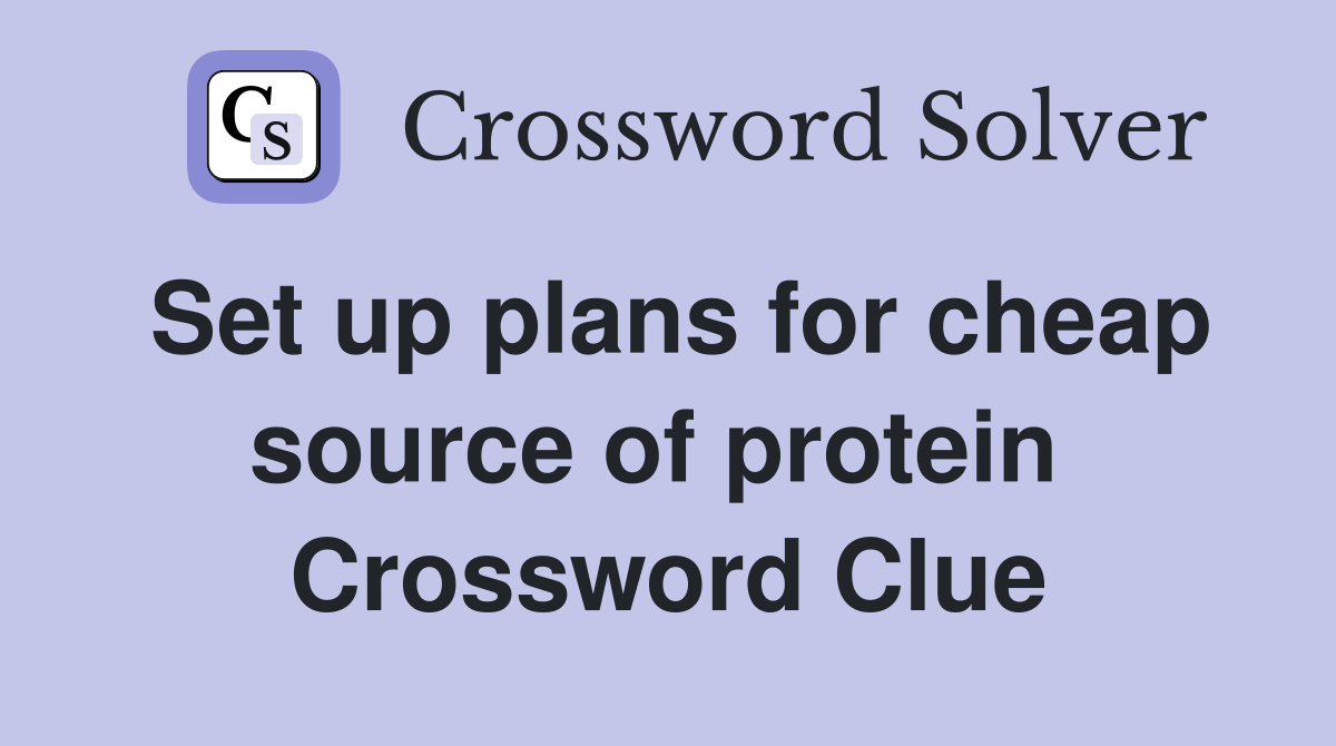 Set up plans for cheap source of protein  Crossword Clue