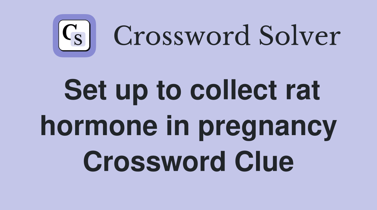 Set up to collect rat hormone in pregnancy Crossword Clue