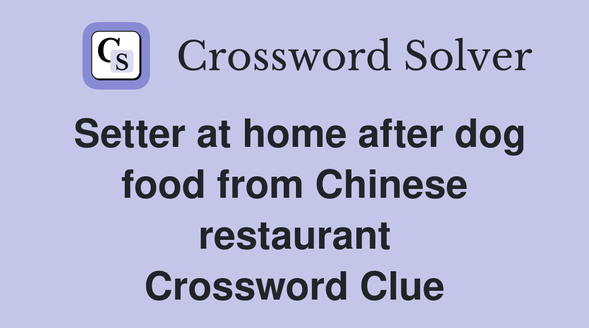 Setter at home after dog food from Chinese restaurant Crossword Clue