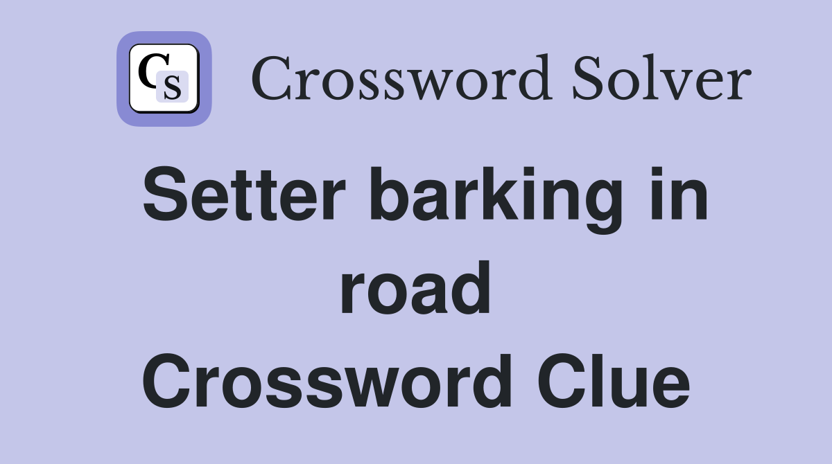 Setter barking in road Crossword Clue