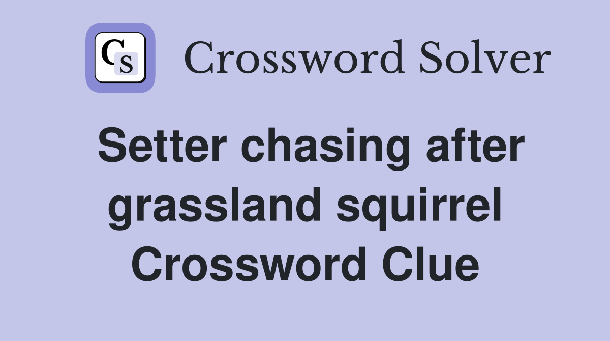 Setter chasing after grassland squirrel Crossword Clue
