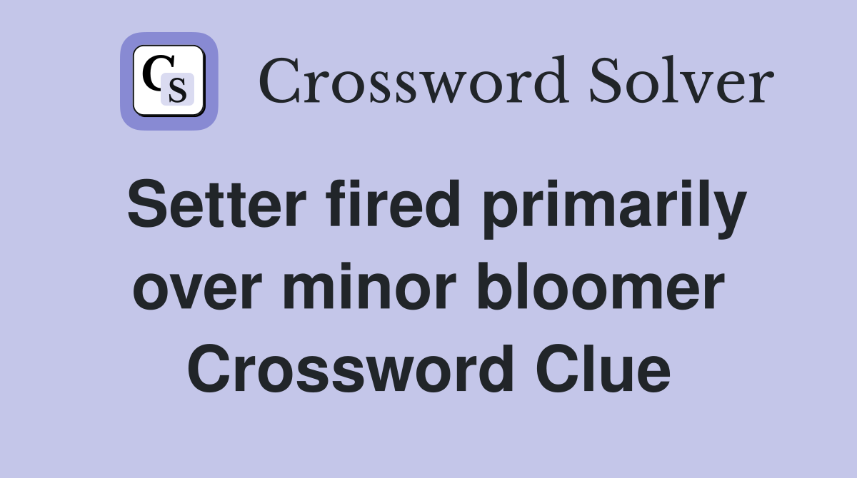 Setter fired primarily over minor bloomer Crossword Clue