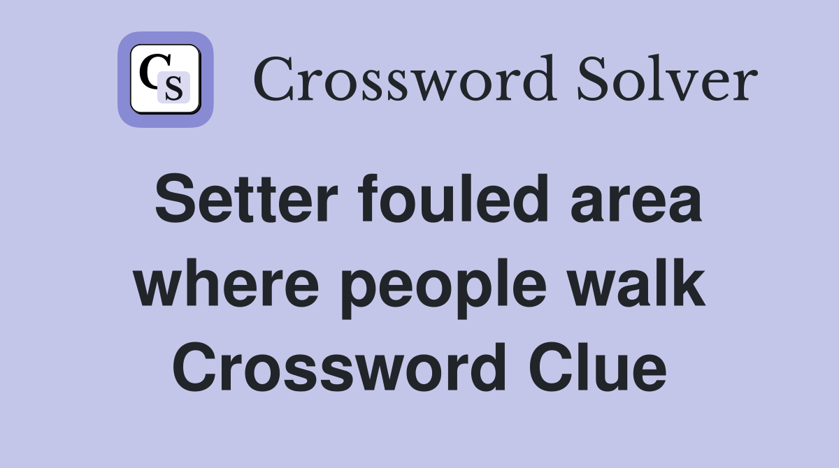 Setter fouled area where people walk Crossword Clue