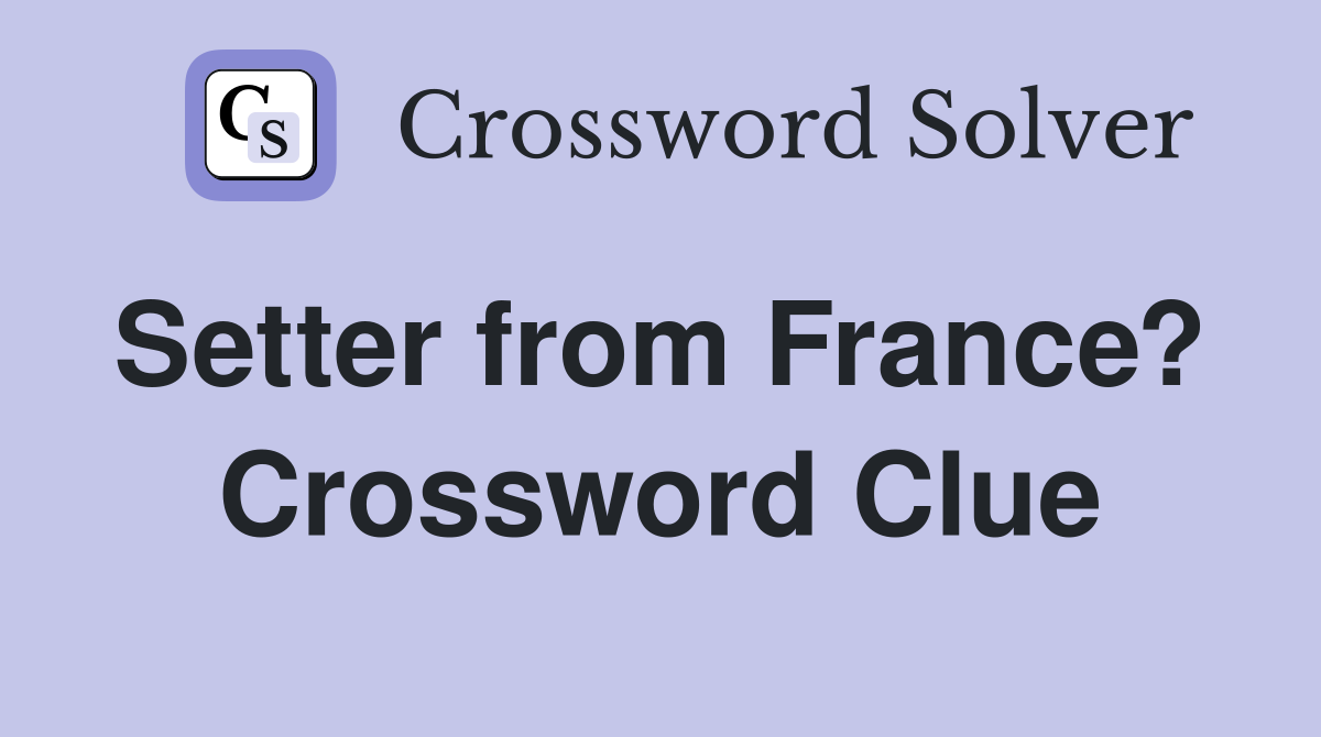 Setter from France?  Crossword Clue
