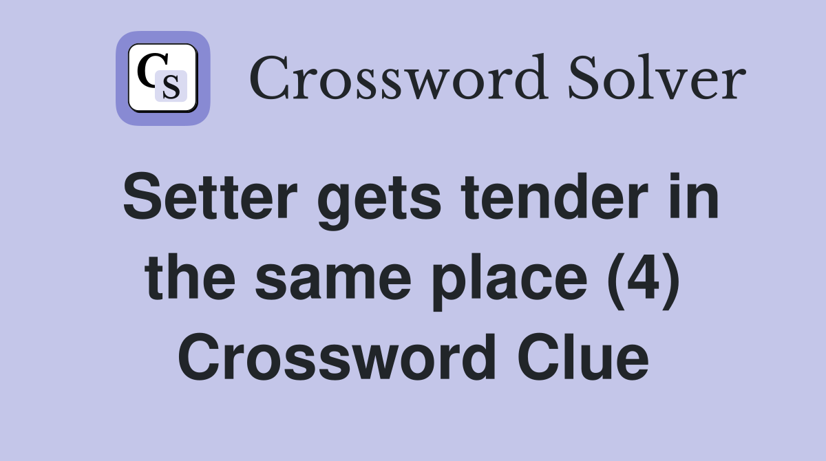 Setter gets tender in the same place (4) Crossword Clue