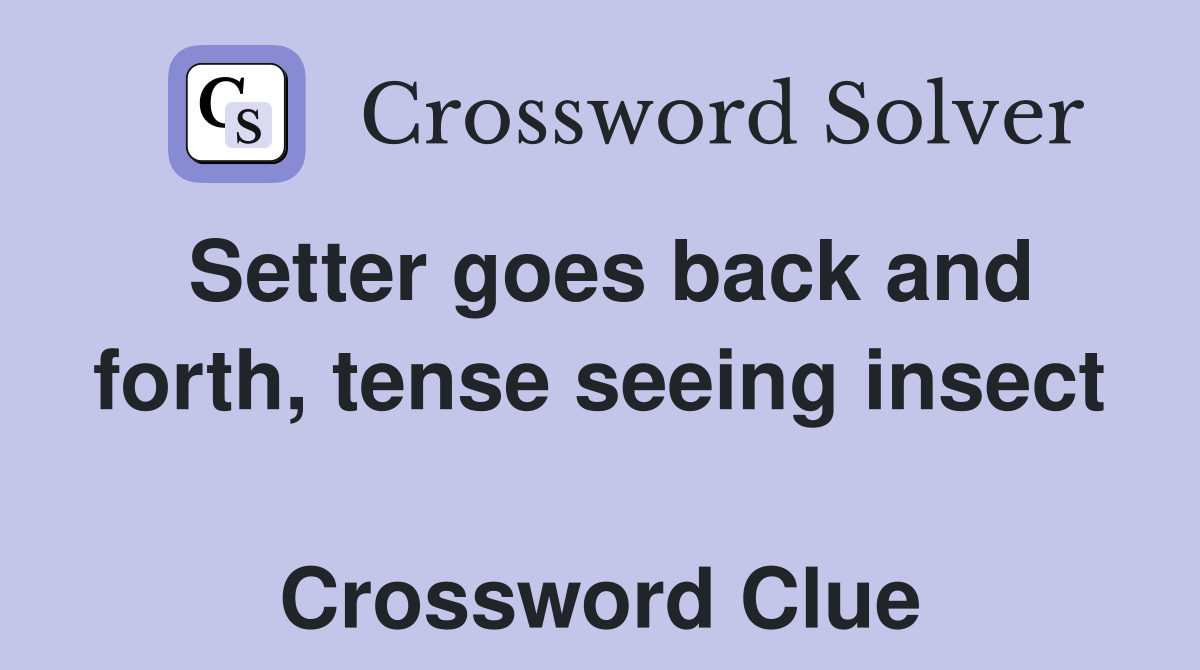 Setter goes back and forth, tense seeing insect  Crossword Clue