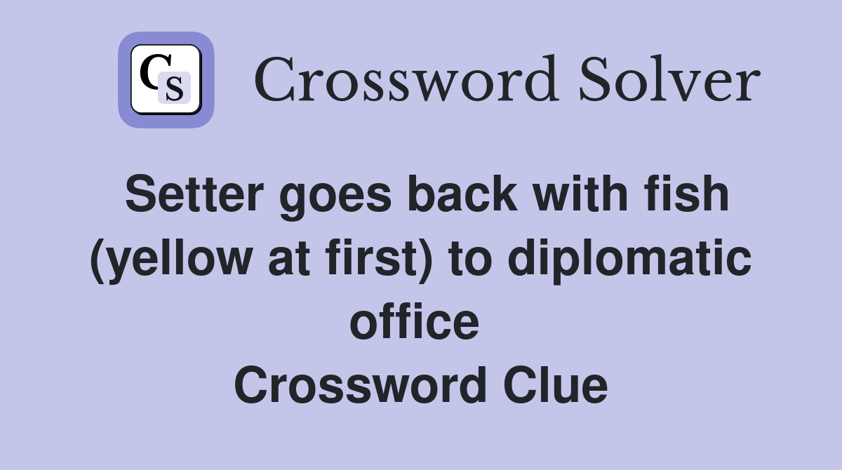 Setter goes back with fish (yellow at first) to diplomatic office  Crossword Clue