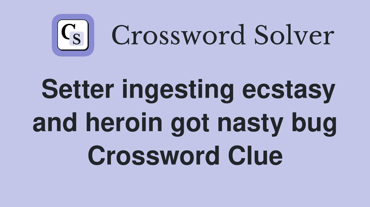 Setter ingesting ecstasy and heroin got nasty bug Crossword Clue