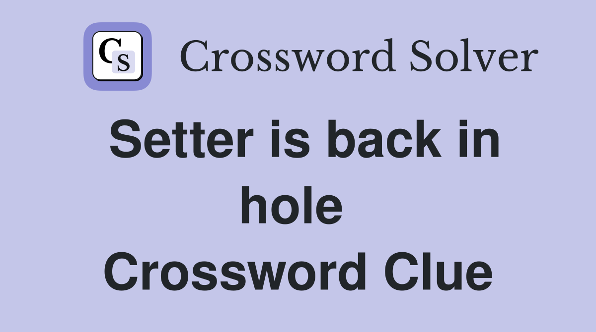 Setter is back in hole  Crossword Clue