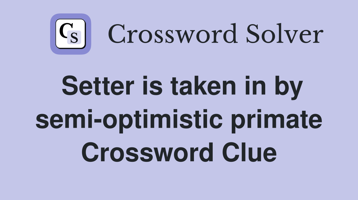 Setter is taken in by semi-optimistic primate Crossword Clue