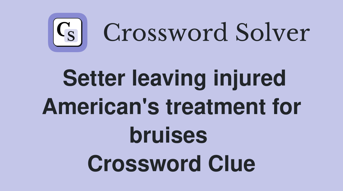 Setter leaving injured American's treatment for bruises  Crossword Clue