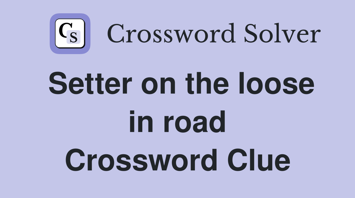 Setter on the loose in road Crossword Clue