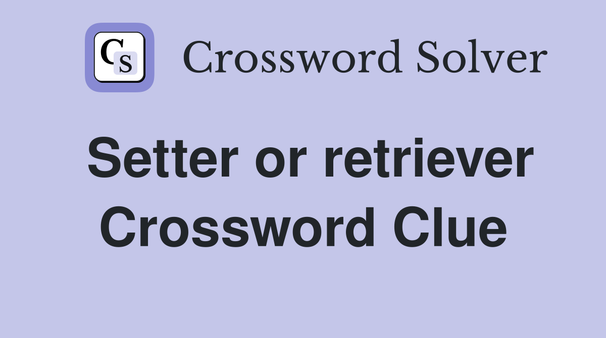 Setter or retriever Crossword Clue